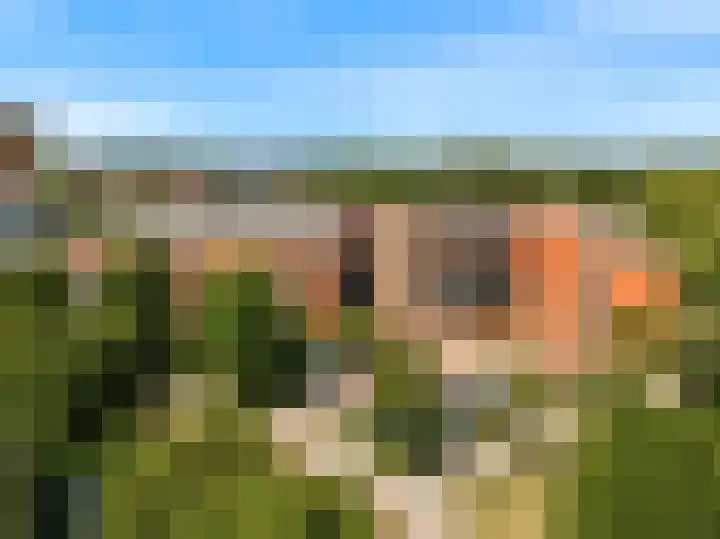 Laan der Verenigde Naties 40 Leiden thumbnail 34