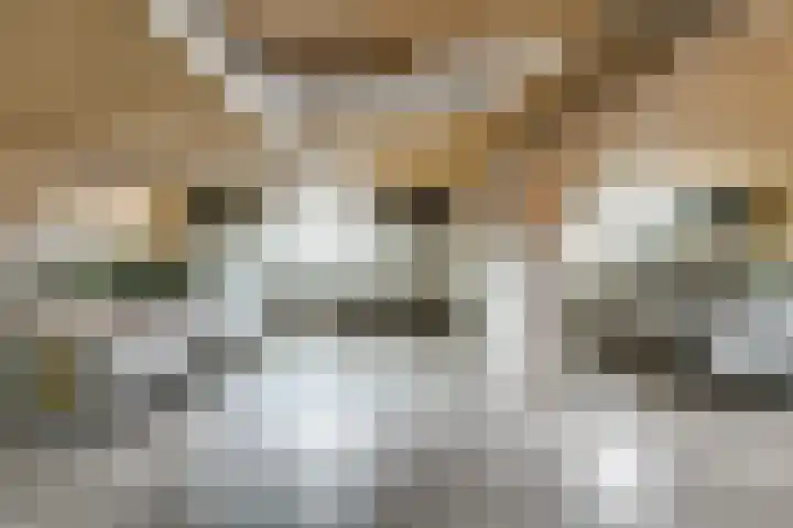 Laan der Verenigde Naties 40 Leiden thumbnail 35