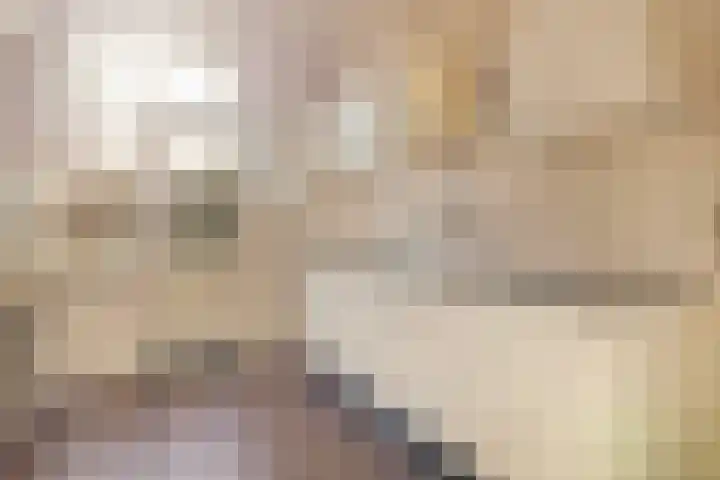 Laan der Verenigde Naties 5 Middelburg thumbnail 11