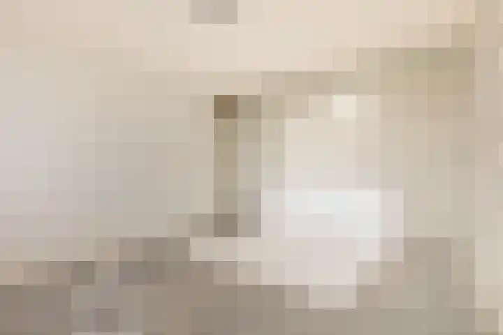 Laan der Verenigde Naties 5 Middelburg thumbnail 15