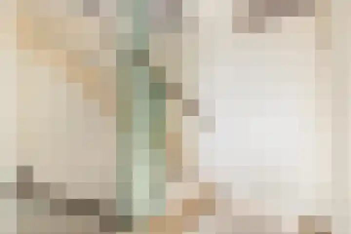 Laan der Verenigde Naties 5 Middelburg thumbnail 20