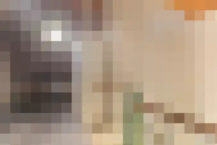 Laan der Verenigde Naties 5 Middelburg thumbnail 21