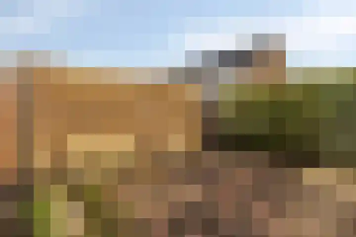 Laan der Verenigde Naties 5 Middelburg thumbnail 4