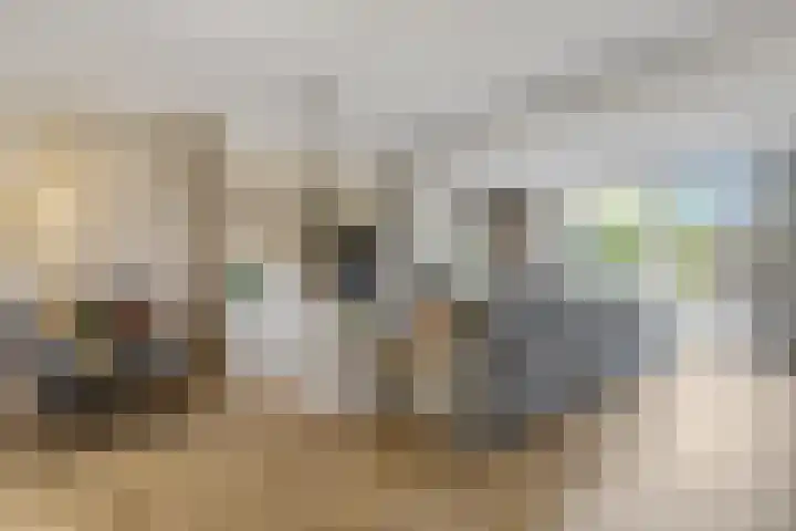 Laan der Verenigde Naties 77 Ede thumbnail 11