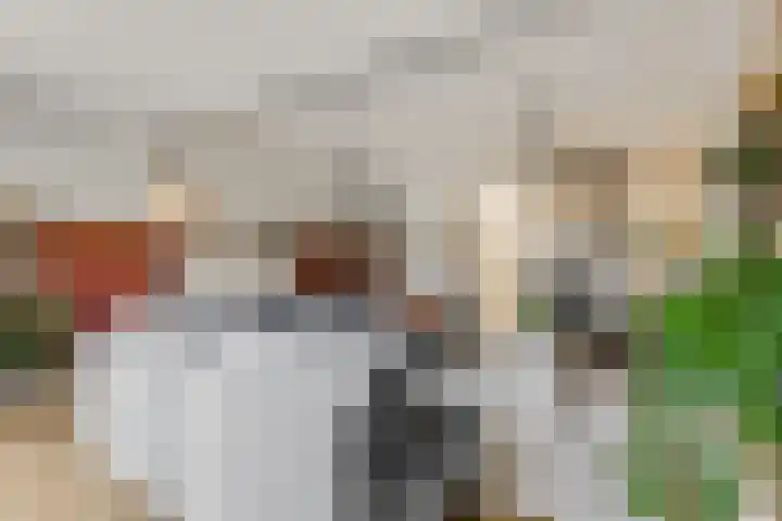 Laan der Verenigde Naties 77 Ede thumbnail 12