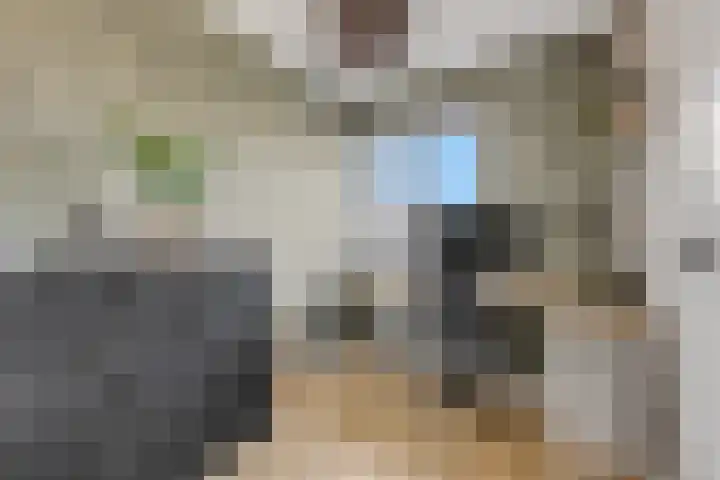 Laan der Verenigde Naties 77 Ede thumbnail 17
