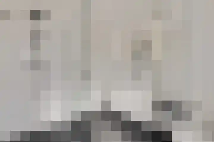 Laan der Verenigde Naties 77 Ede thumbnail 21