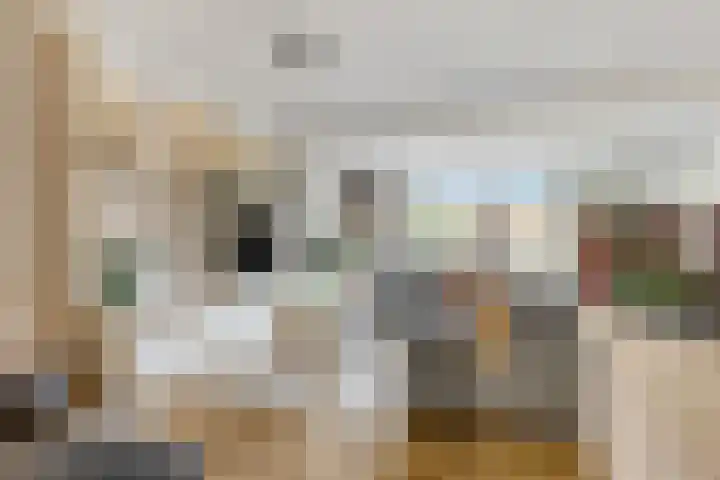 Laan der Verenigde Naties 77 Ede thumbnail 39