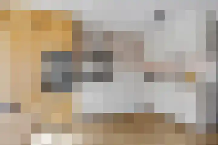 Laan der Verenigde Naties 77 Ede thumbnail 4