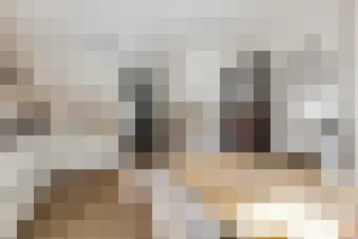 Laan der Verenigde Naties 77 Ede thumbnail 5