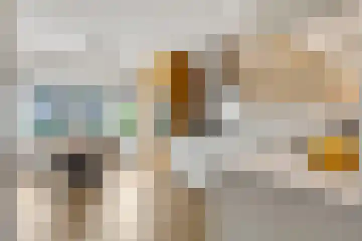 Laan der Verenigde Naties 77 Ede thumbnail 8