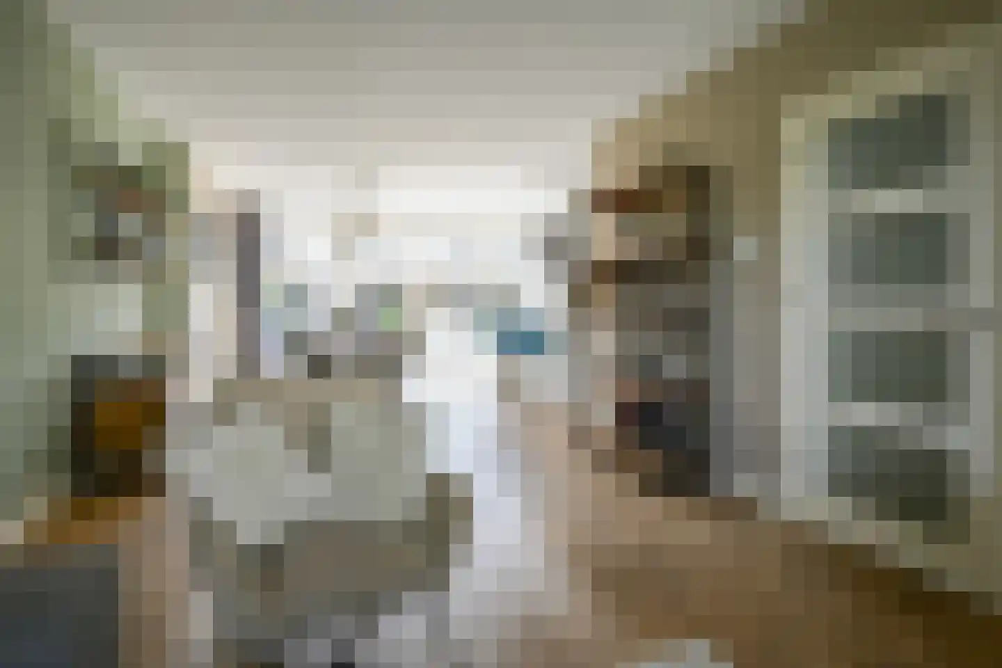 Laan der Vrijheid 110 Bergschenhoek thumbnail 10