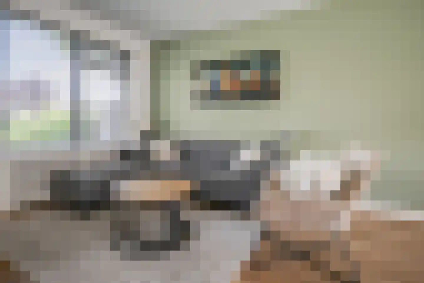 Laan der Vrijheid 110 Bergschenhoek thumbnail 11