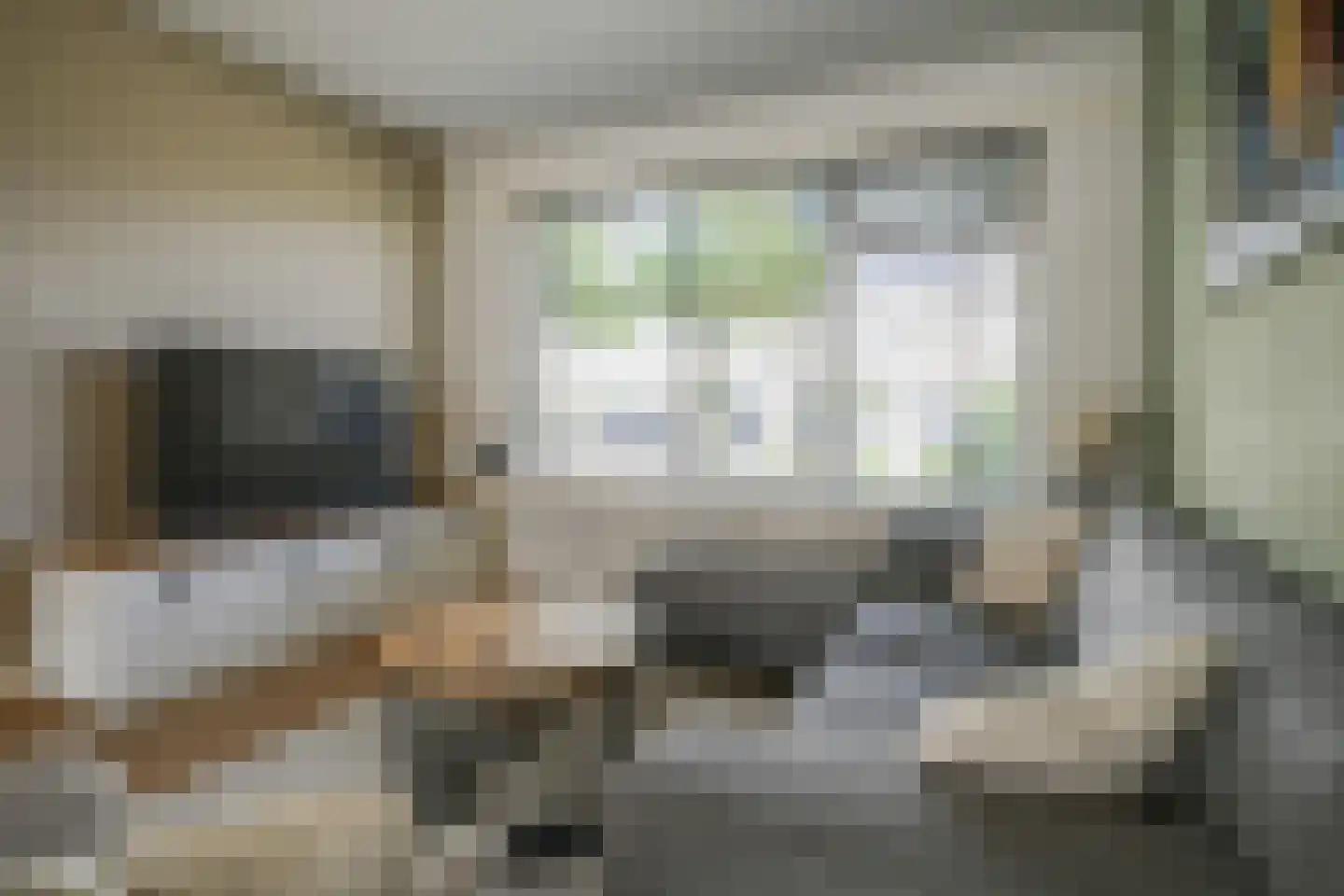 Laan der Vrijheid 110 Bergschenhoek thumbnail 13