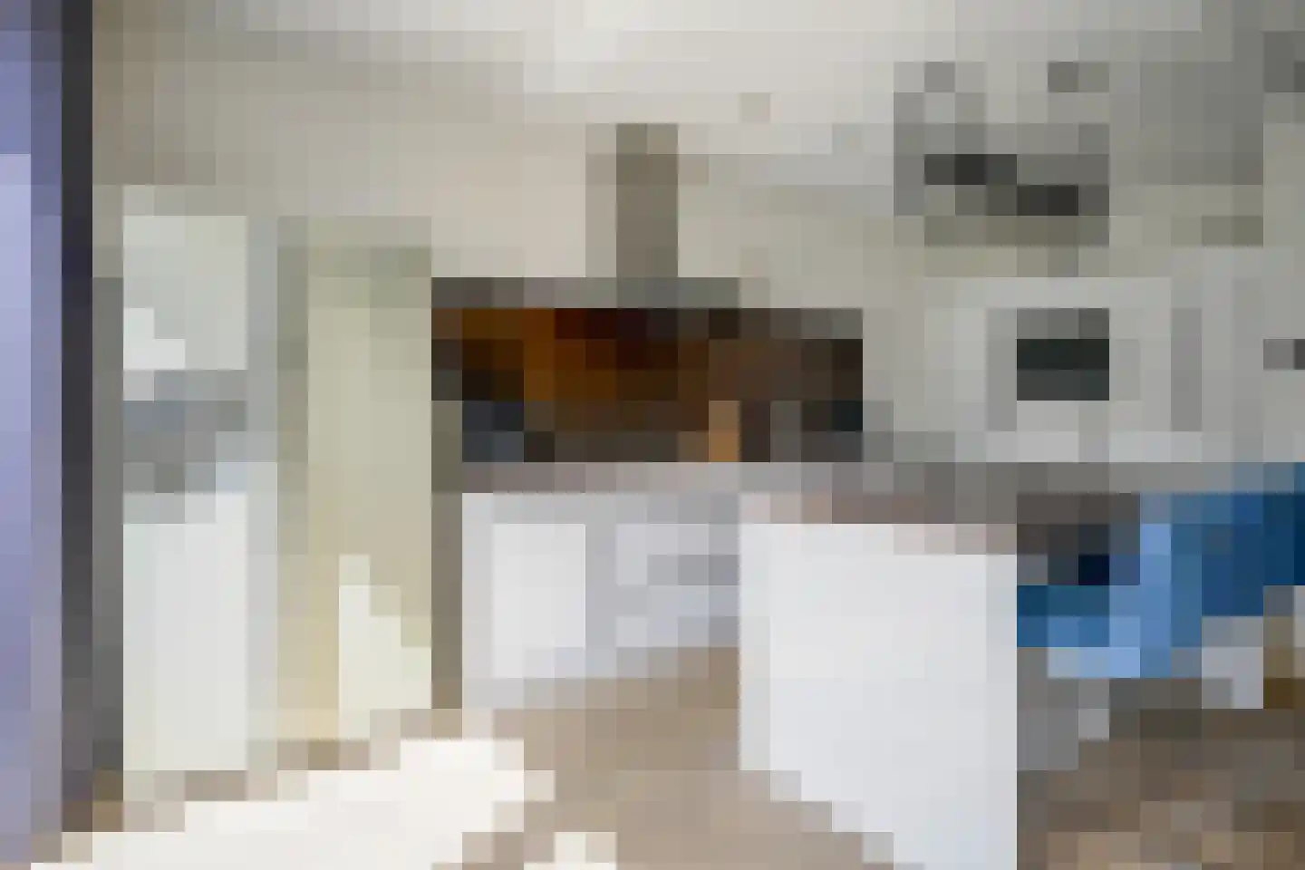 Laan der Vrijheid 110 Bergschenhoek thumbnail 15