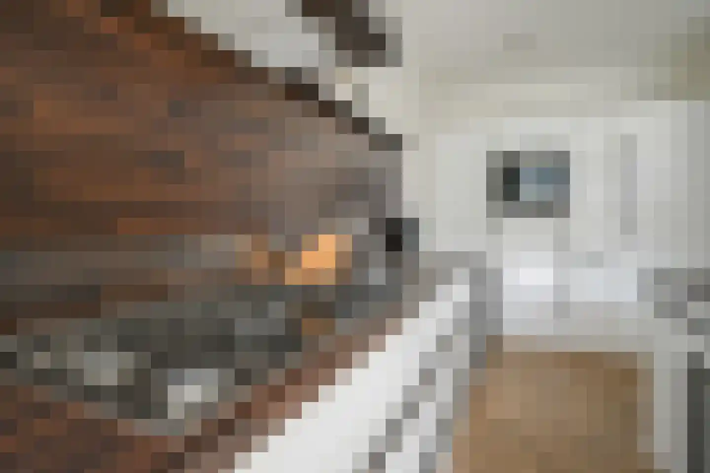 Laan der Vrijheid 110 Bergschenhoek thumbnail 17