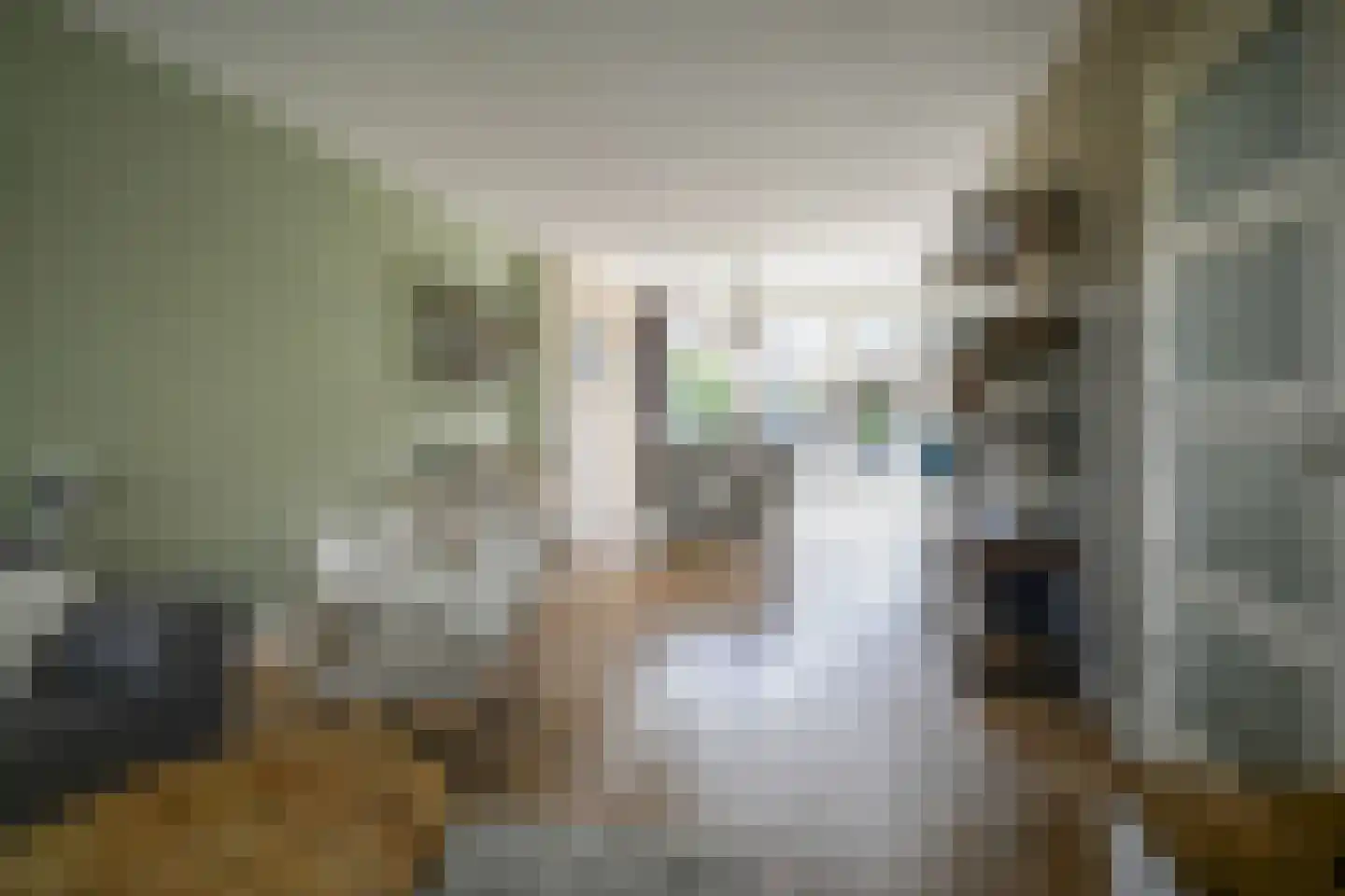 Laan der Vrijheid 110 Bergschenhoek foto 2