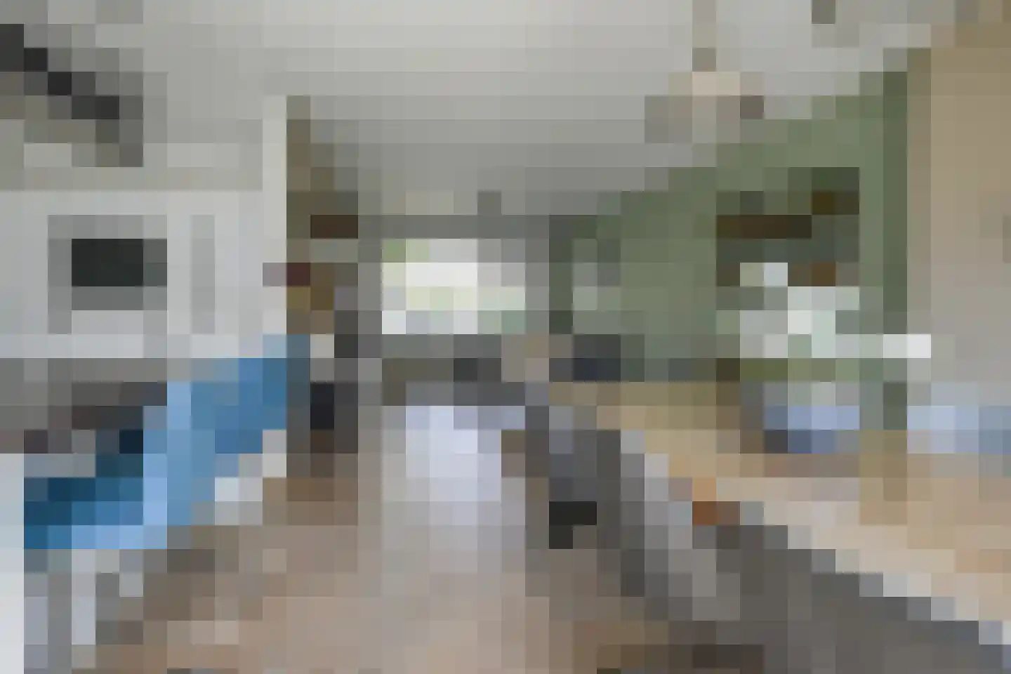 Laan der Vrijheid 110 Bergschenhoek thumbnail 20