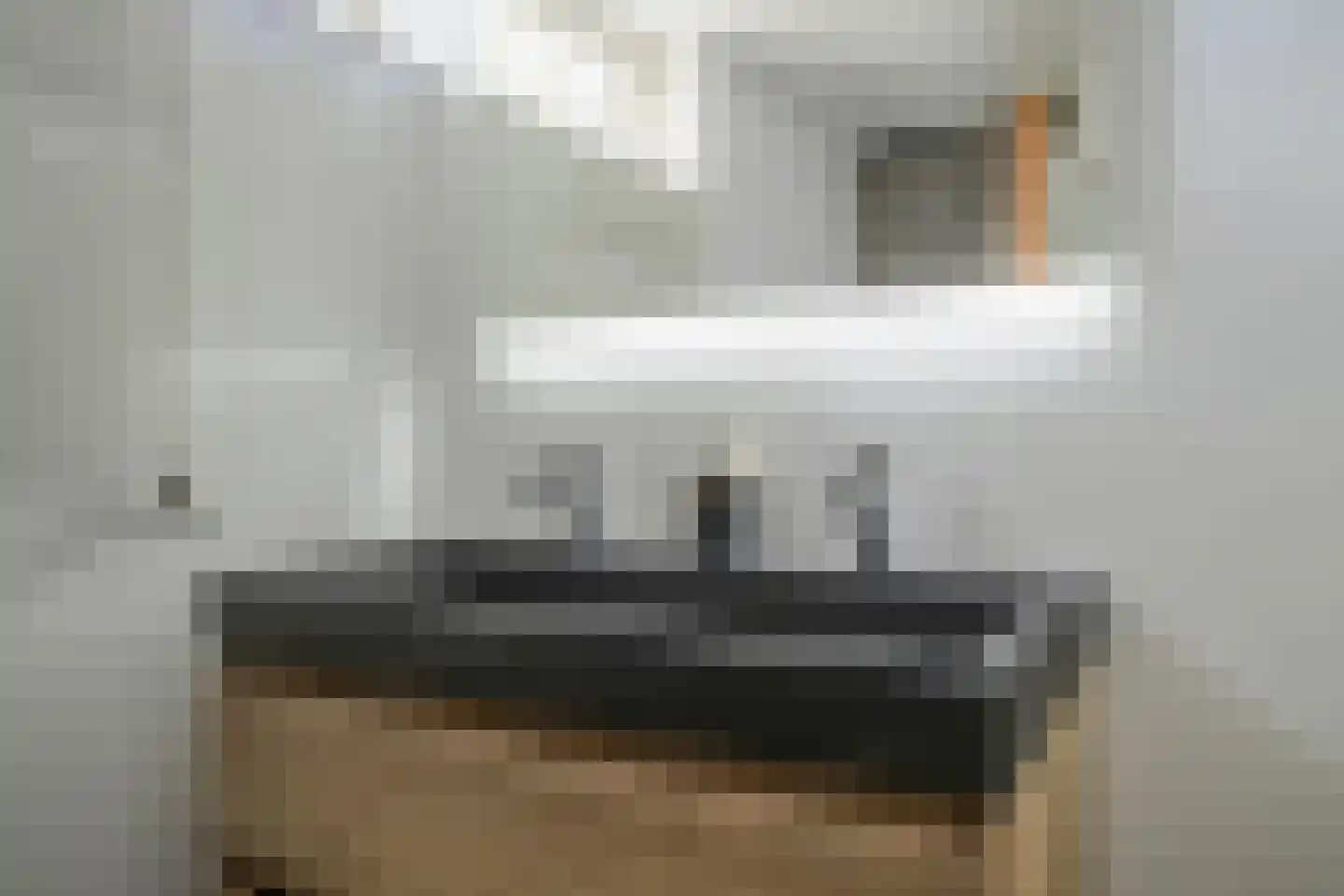 Laan der Vrijheid 110 Bergschenhoek thumbnail 24