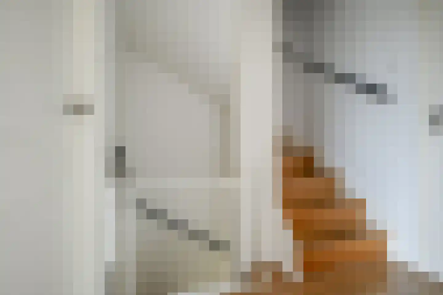 Laan der Vrijheid 110 Bergschenhoek thumbnail 33