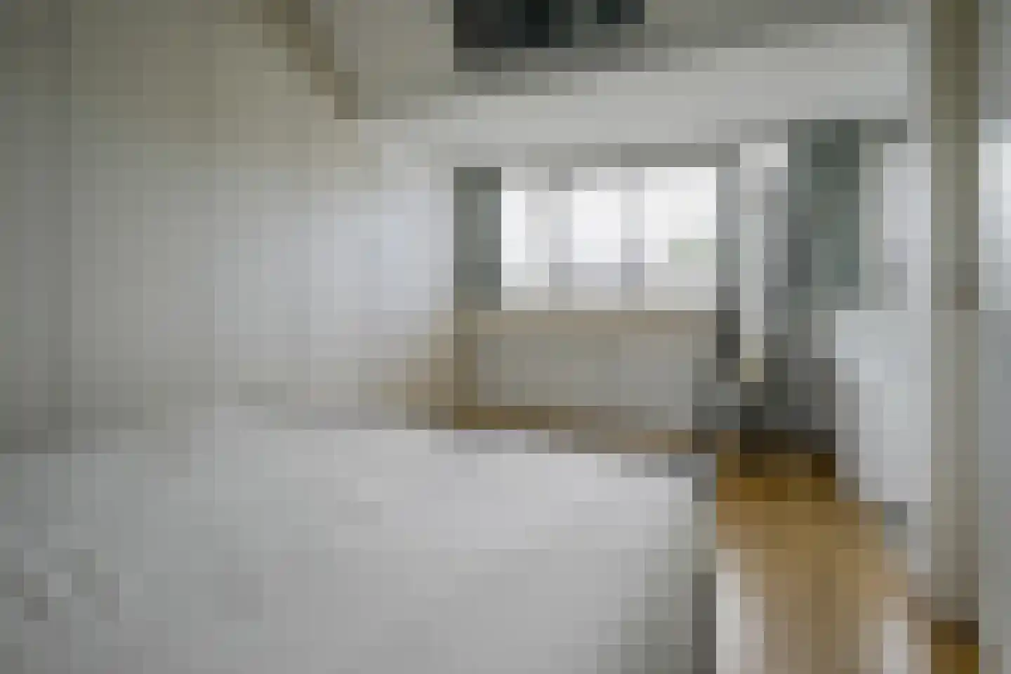 Laan der Vrijheid 110 Bergschenhoek thumbnail 34