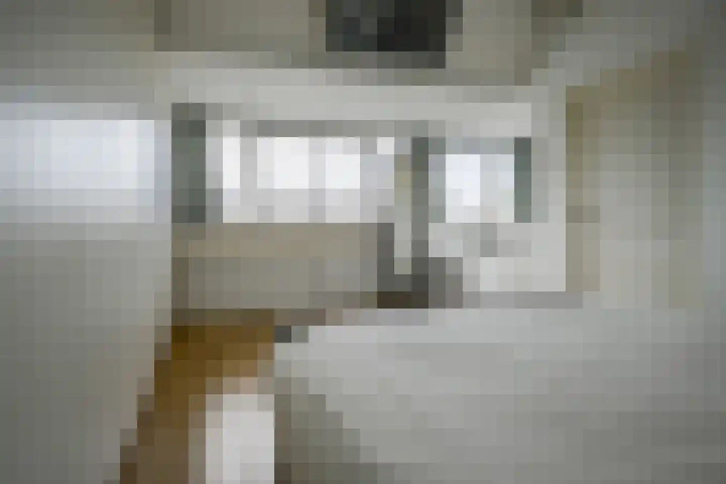Laan der Vrijheid 110 Bergschenhoek thumbnail 35