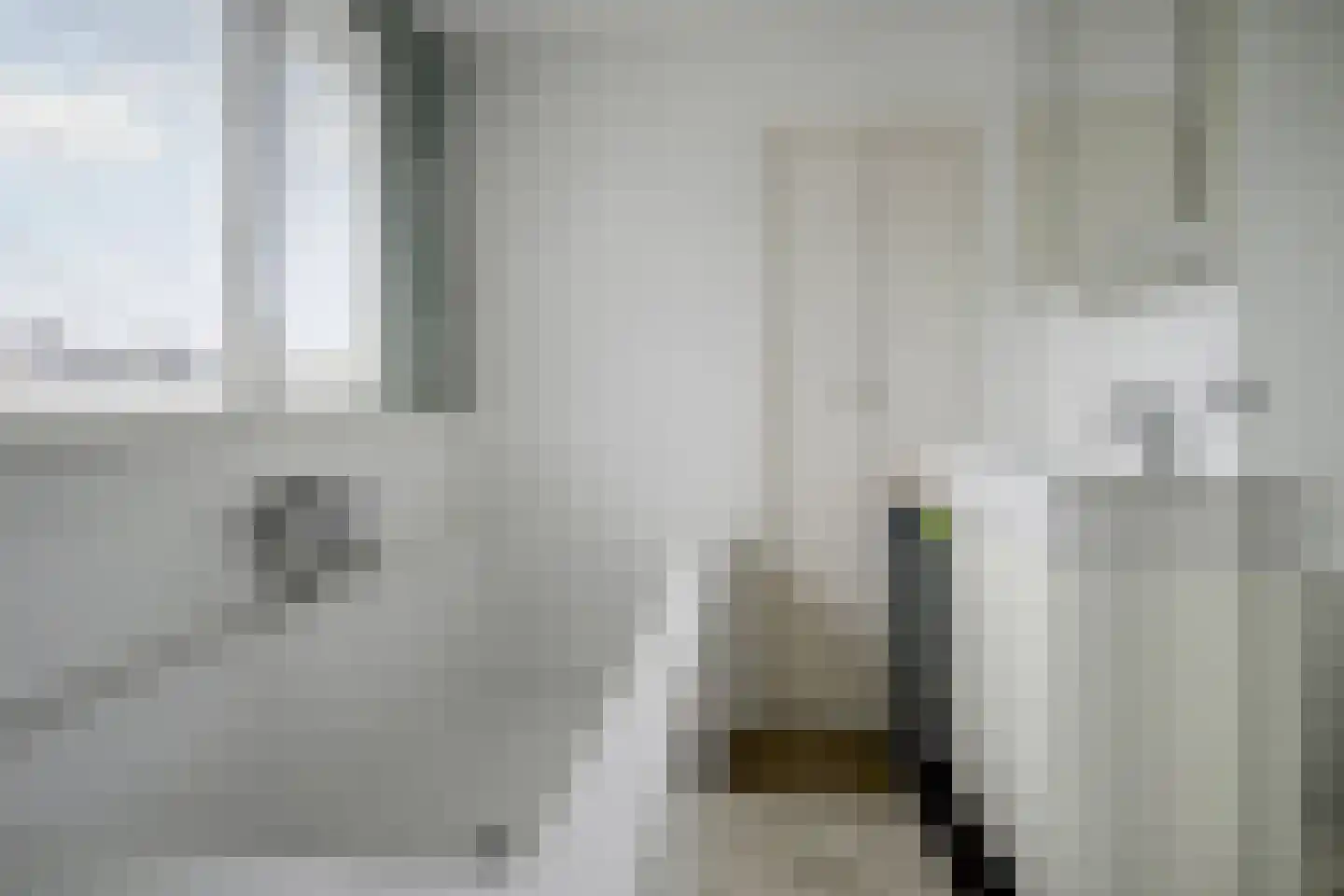 Laan der Vrijheid 110 Bergschenhoek thumbnail 38