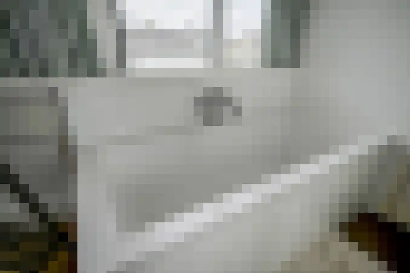 Laan der Vrijheid 110 Bergschenhoek thumbnail 39