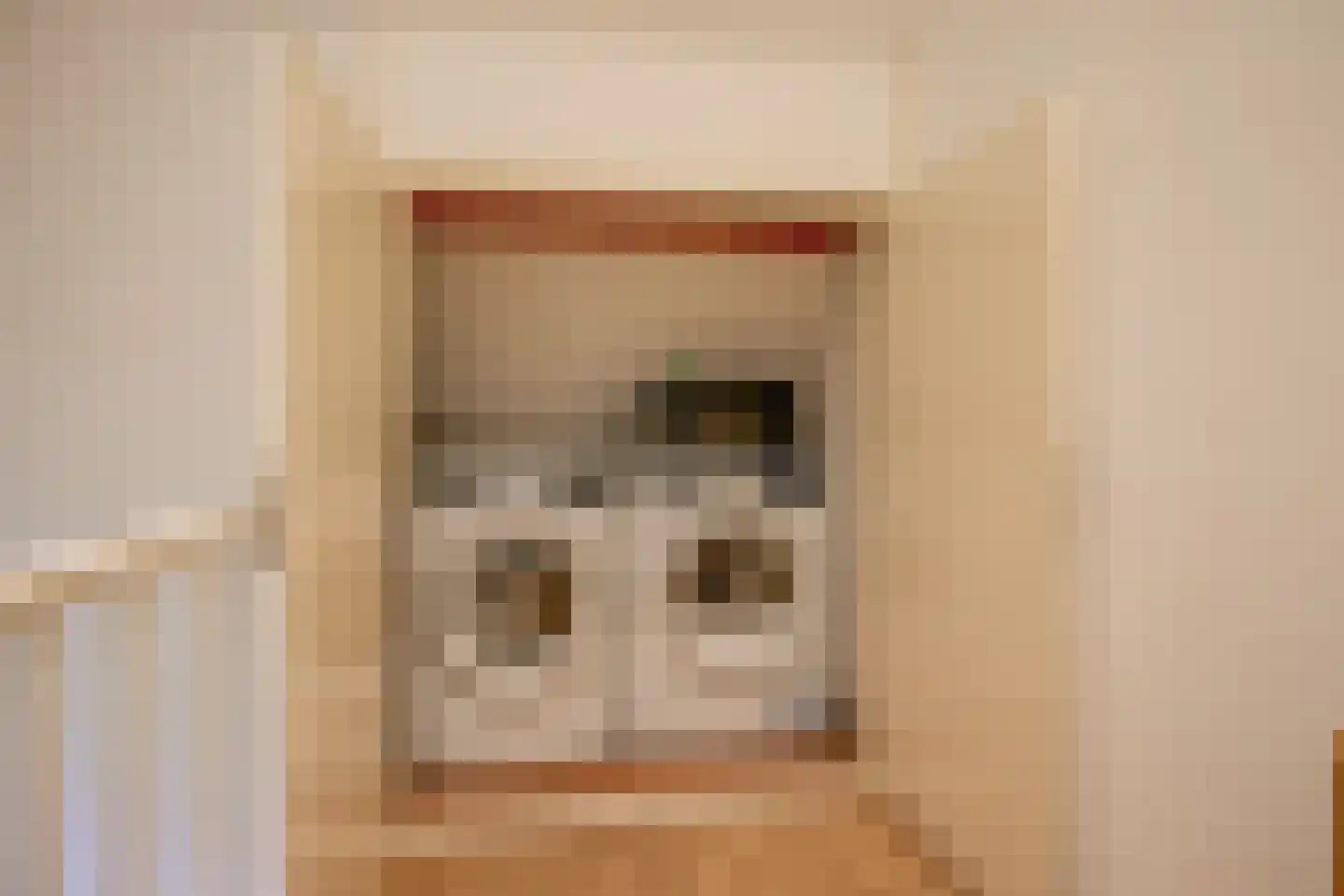 Laan der Vrijheid 110 Bergschenhoek thumbnail 41