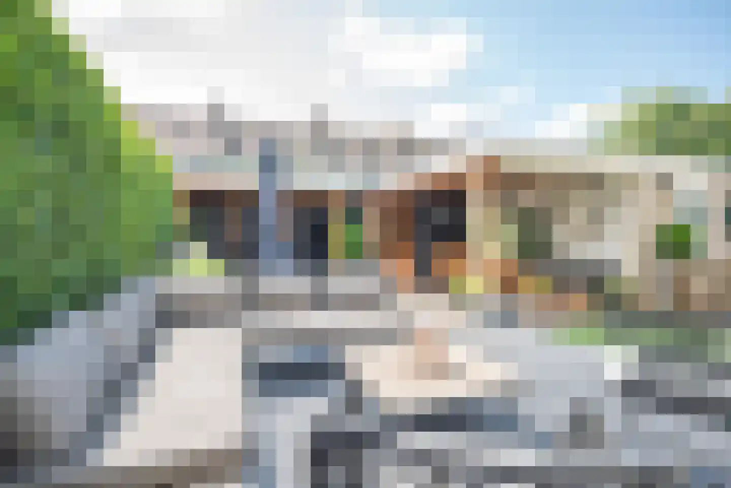 Laan der Vrijheid 110 Bergschenhoek thumbnail 42