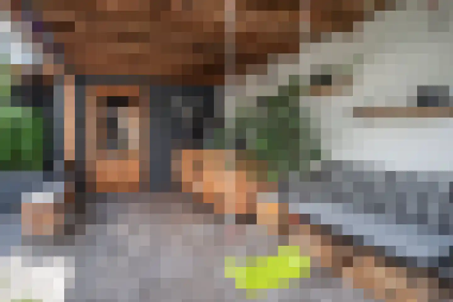 Laan der Vrijheid 110 Bergschenhoek thumbnail 44