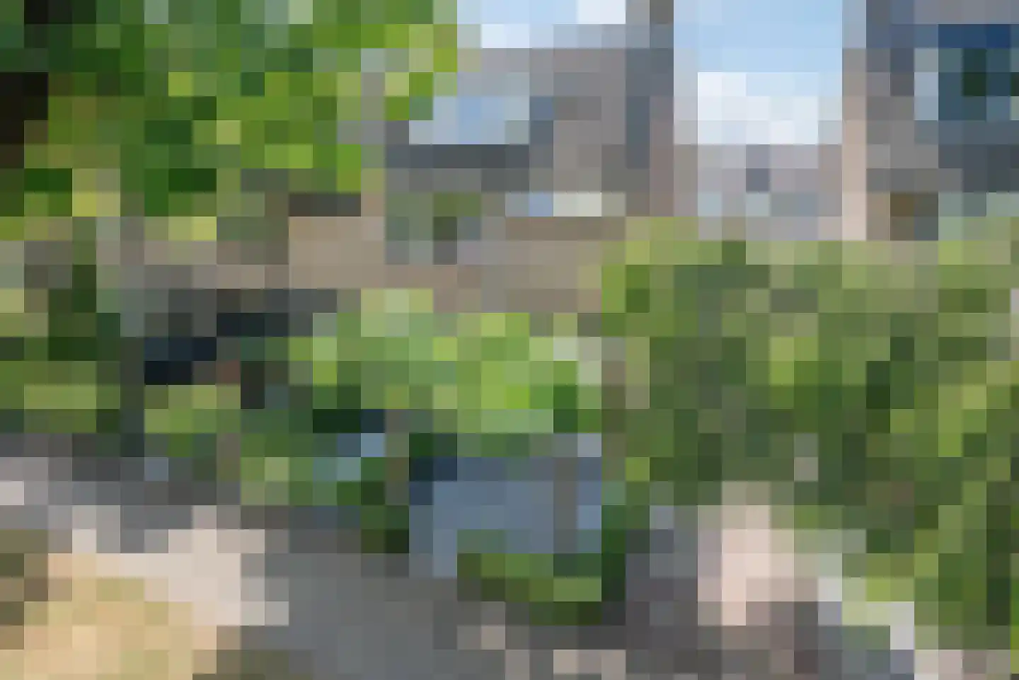 Laan der Vrijheid 110 Bergschenhoek thumbnail 5