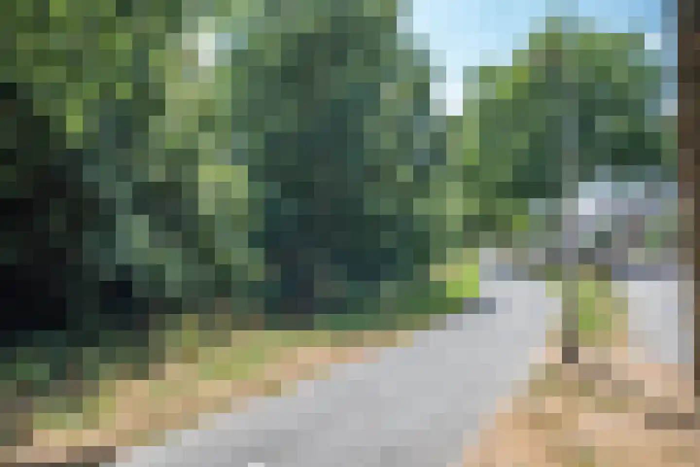 Laan der Vrijheid 110 Bergschenhoek thumbnail 52