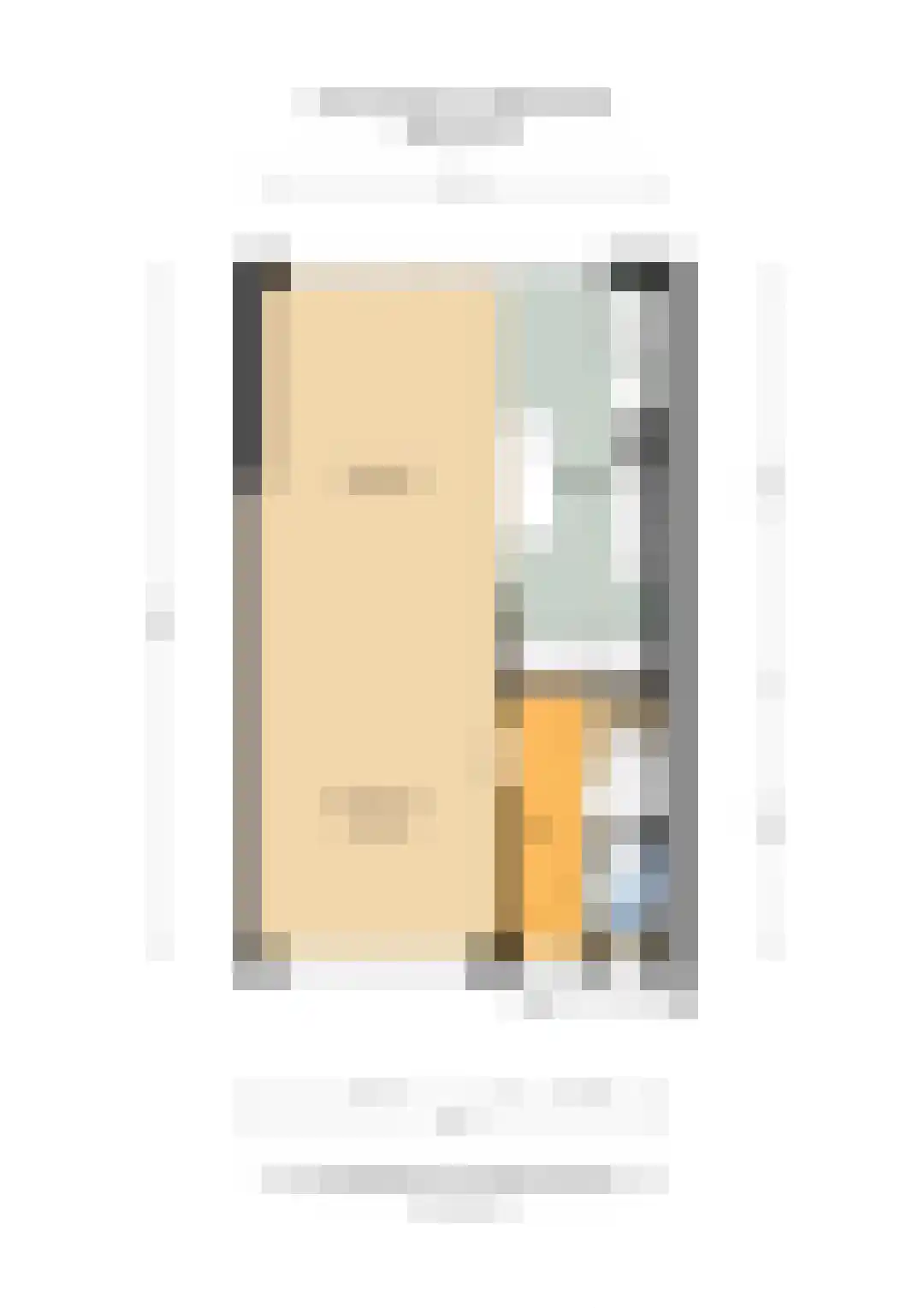 Laan der Vrijheid 110 Bergschenhoek thumbnail 56