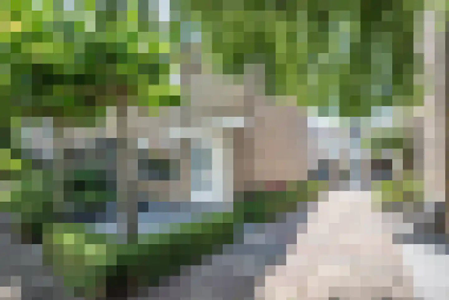 Laan der Vrijheid 110 Bergschenhoek thumbnail 6