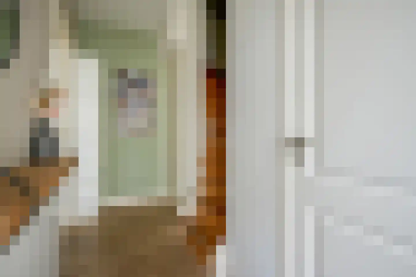Laan der Vrijheid 110 Bergschenhoek thumbnail 8