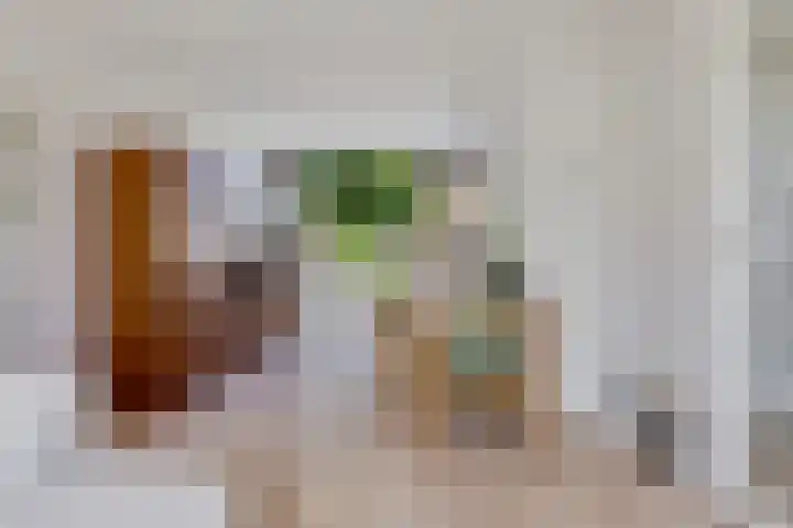 Laan der Vrijheid 31 Bergschenhoek thumbnail 11