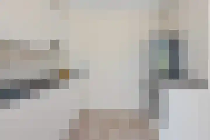 Laan der Vrijheid 31 Bergschenhoek thumbnail 14