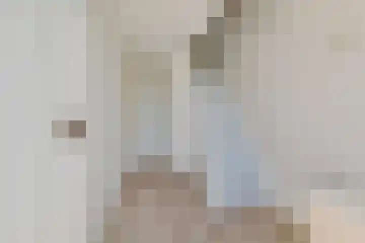 Laan der Vrijheid 31 Bergschenhoek thumbnail 22