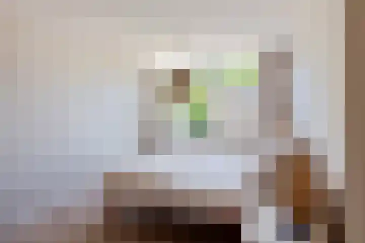 Laan der Vrijheid 31 Bergschenhoek thumbnail 24