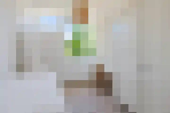 Laan der Vrijheid 31 Bergschenhoek thumbnail 29