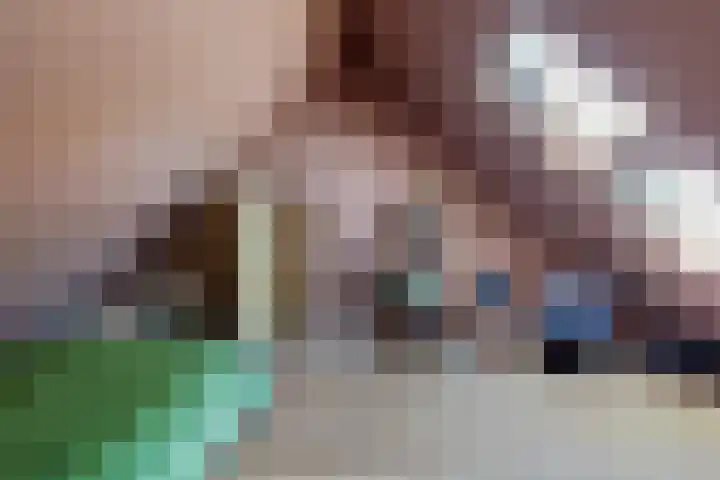 Laan der Vrijheid 31 Bergschenhoek thumbnail 34