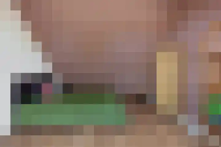 Laan der Vrijheid 31 Bergschenhoek thumbnail 35