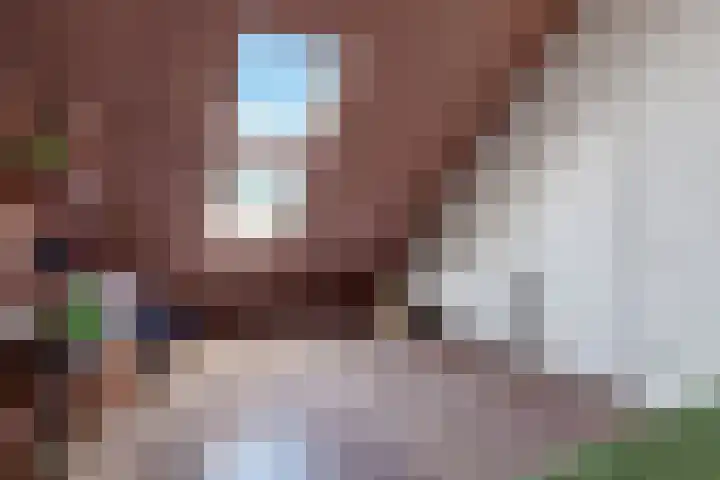 Laan der Vrijheid 31 Bergschenhoek thumbnail 36