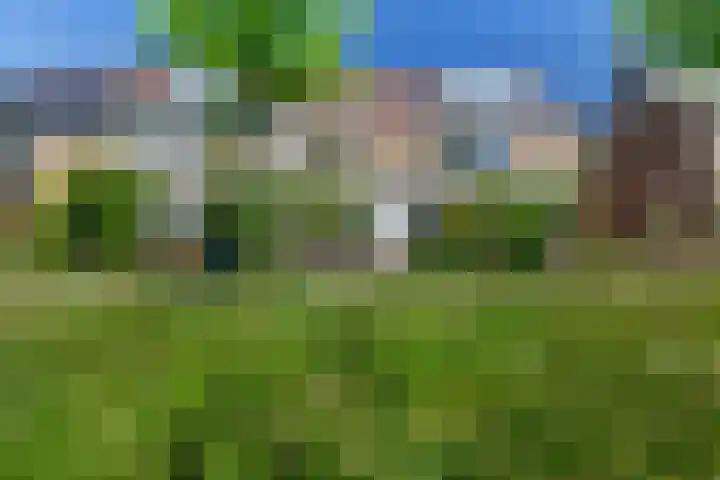 Laan der Vrijheid 31 Bergschenhoek thumbnail 41