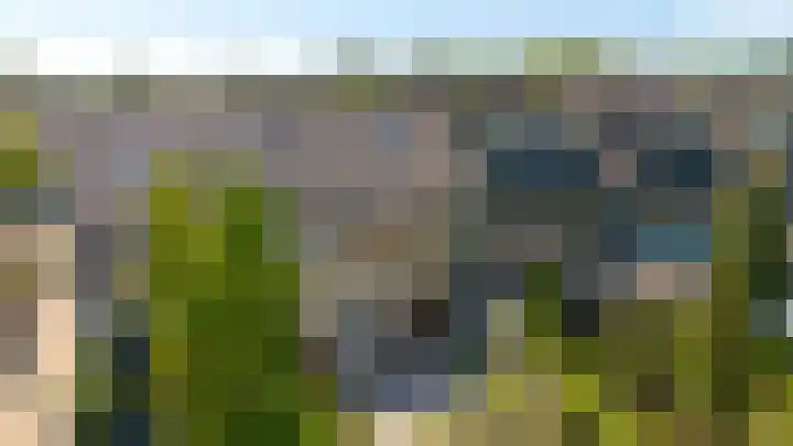 Laan der Vrijheid 31 Bergschenhoek thumbnail 45