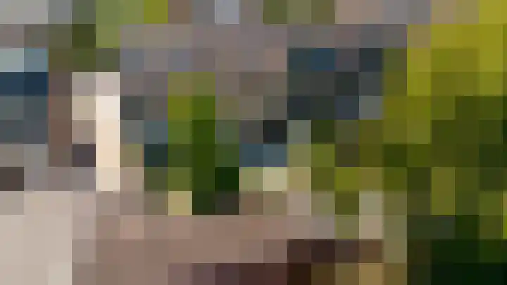 Laan der Vrijheid 31 Bergschenhoek thumbnail 46