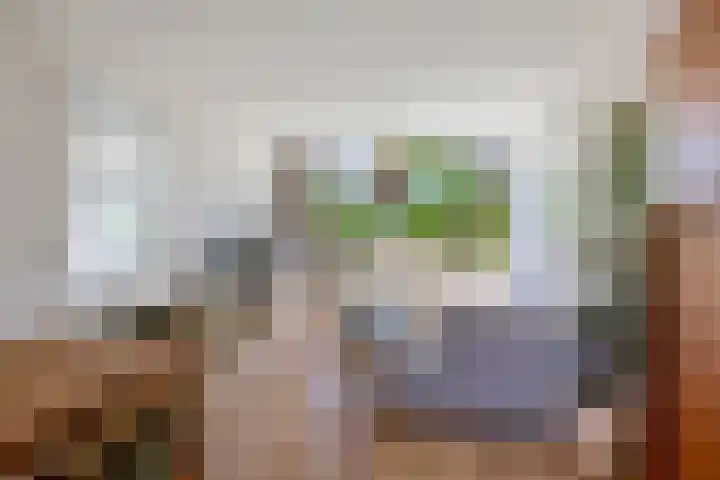 Laan der Vrijheid 31 Bergschenhoek thumbnail 5