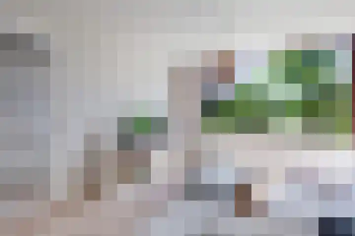 Laan der Vrijheid 31 Bergschenhoek thumbnail 6