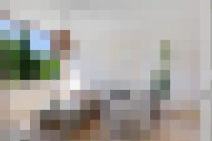 Laan der Vrijheid 31 Bergschenhoek thumbnail 7